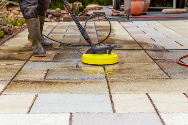 Best Animal Enclosure Cleaning  in Waverly, NY